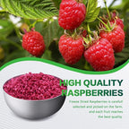 SNAFRE Freeze-Dried Raspberry Crumble