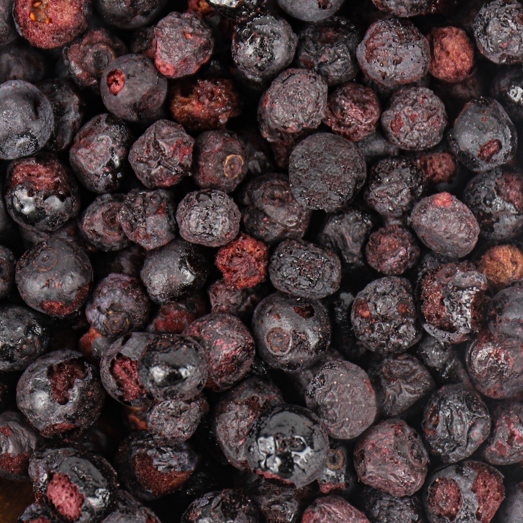SNAFRE Freeze-Dried Whole Blueberries