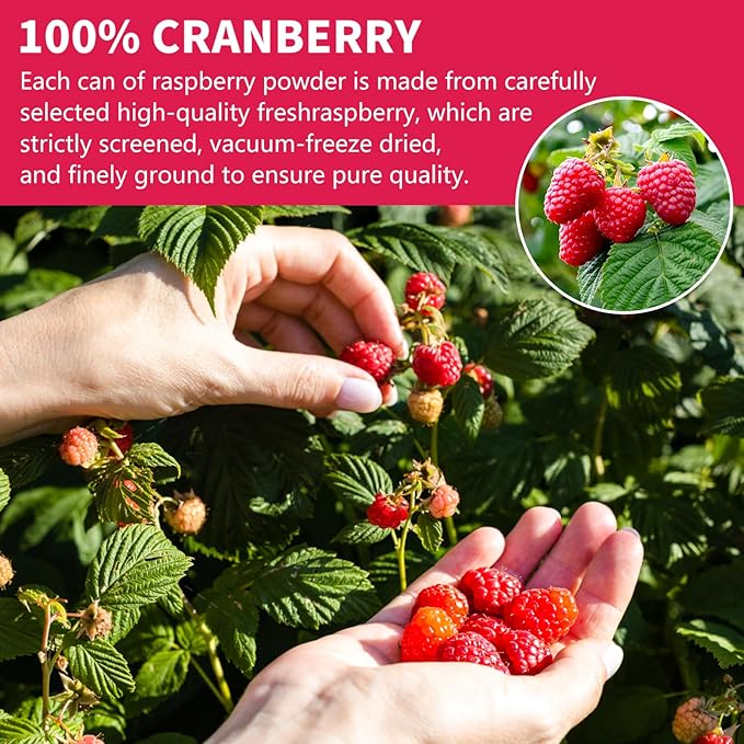 SNAFRE Freeze-Dried Raspberry Powder