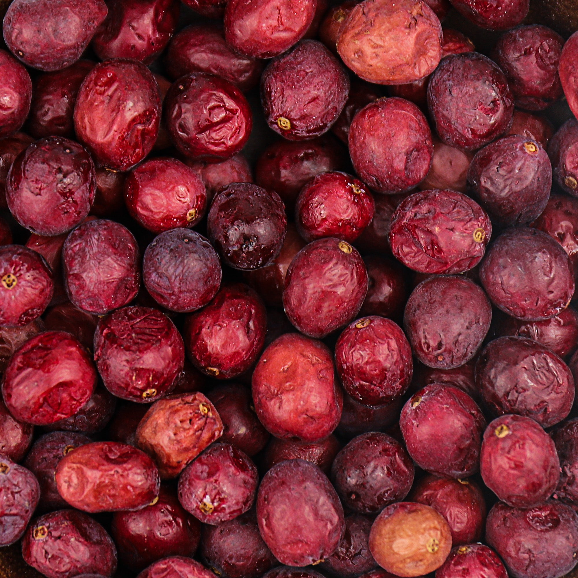 SNAFRE Freeze-Dried Whole Cranberries