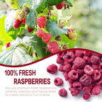 SNAFRE Freeze-Dried Whole Raspberries