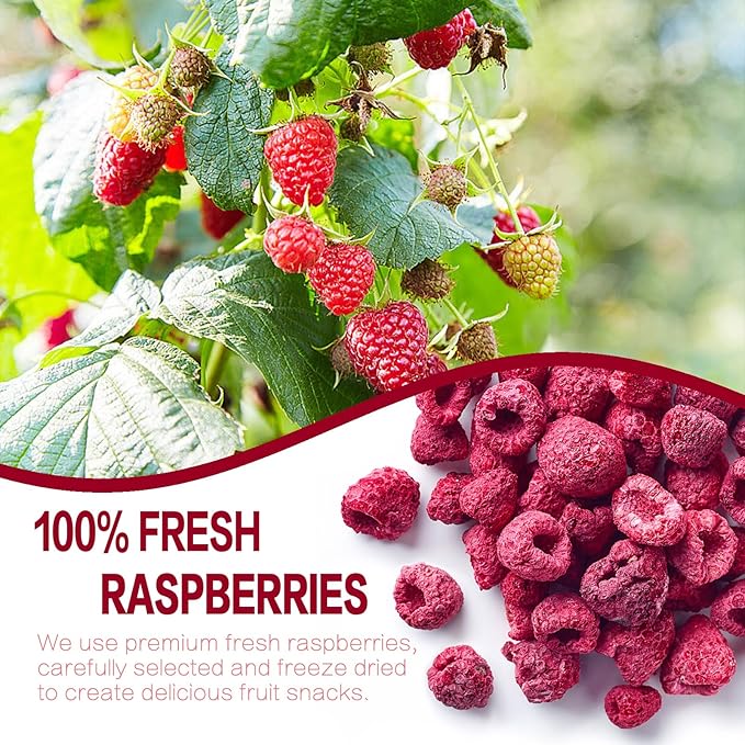 SNAFRE Freeze-Dried Whole Raspberries
