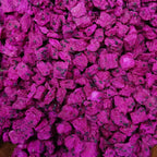 Close-up_texture_of_100_natural_freeze-dried_dragon_fruit_cubes