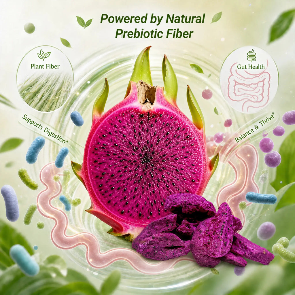 Natural prebiotic fiber benefits of SNAFRE freeze-dried red dragon fruit slices