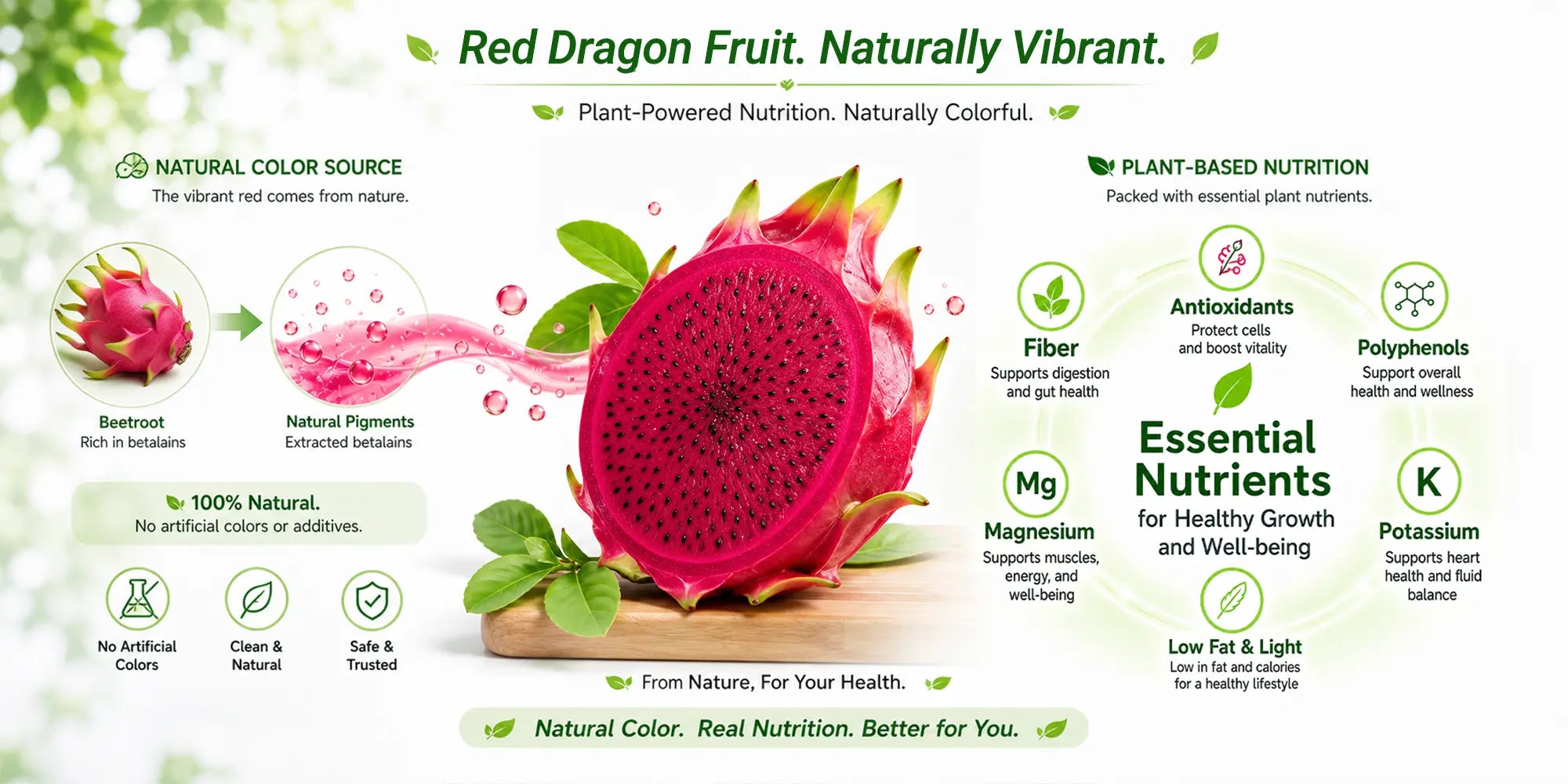 Red dragon fruit essential nutrients, fiber, and antioxidant benefits infographic